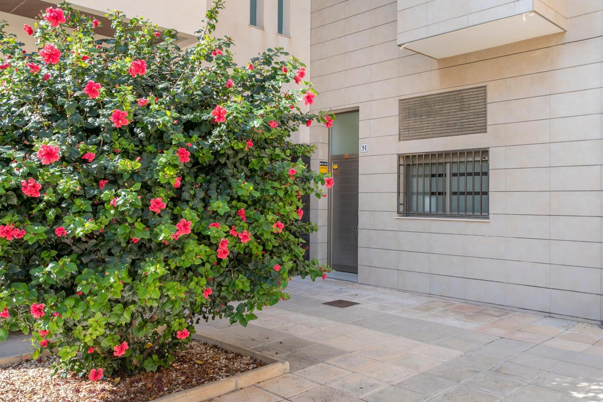La Casita De Mauro Daire El Campello Dış mekan fotoğraf